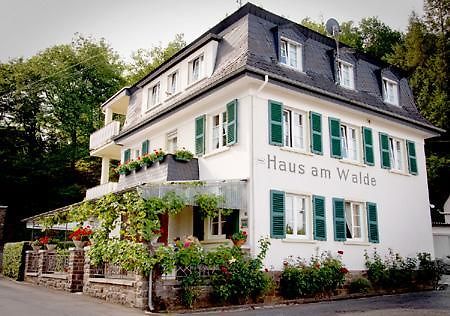 Pension "Haus Am Walde" Brodenbach, Mosel Eksteriør bilde