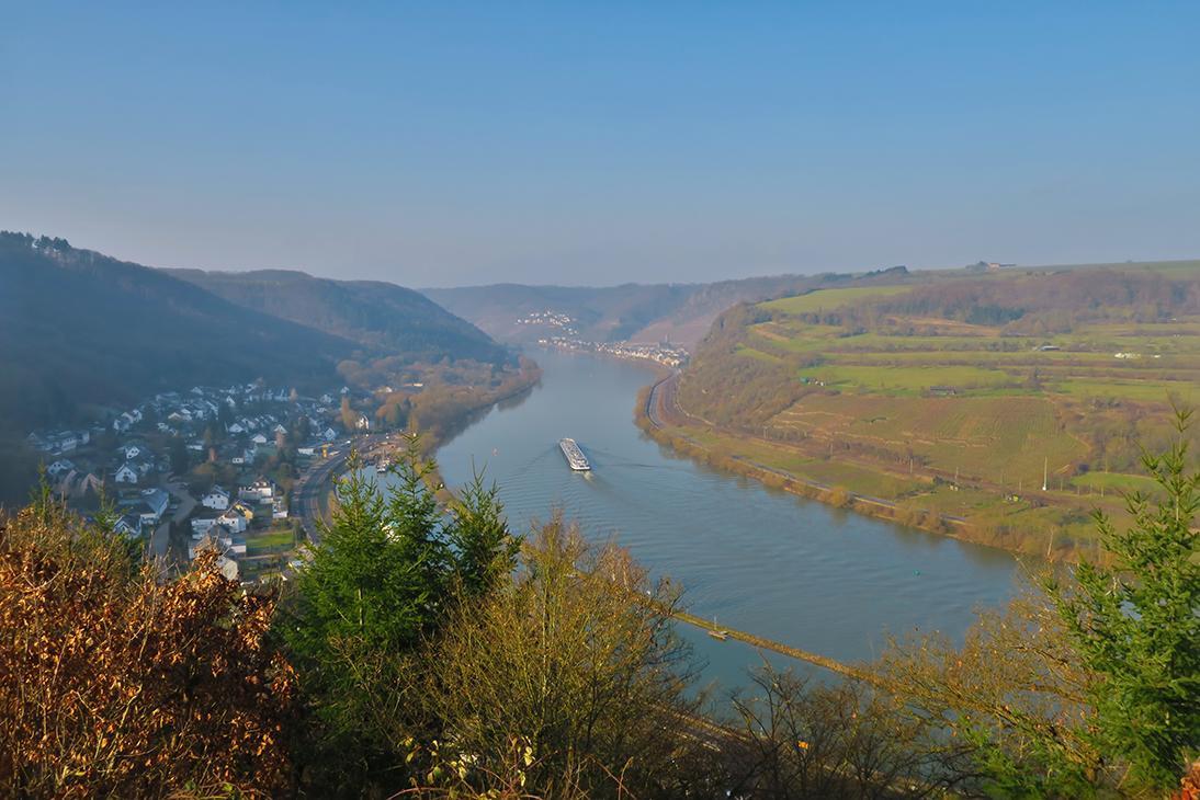 Pension "Haus Am Walde" Brodenbach, Mosel Eksteriør bilde